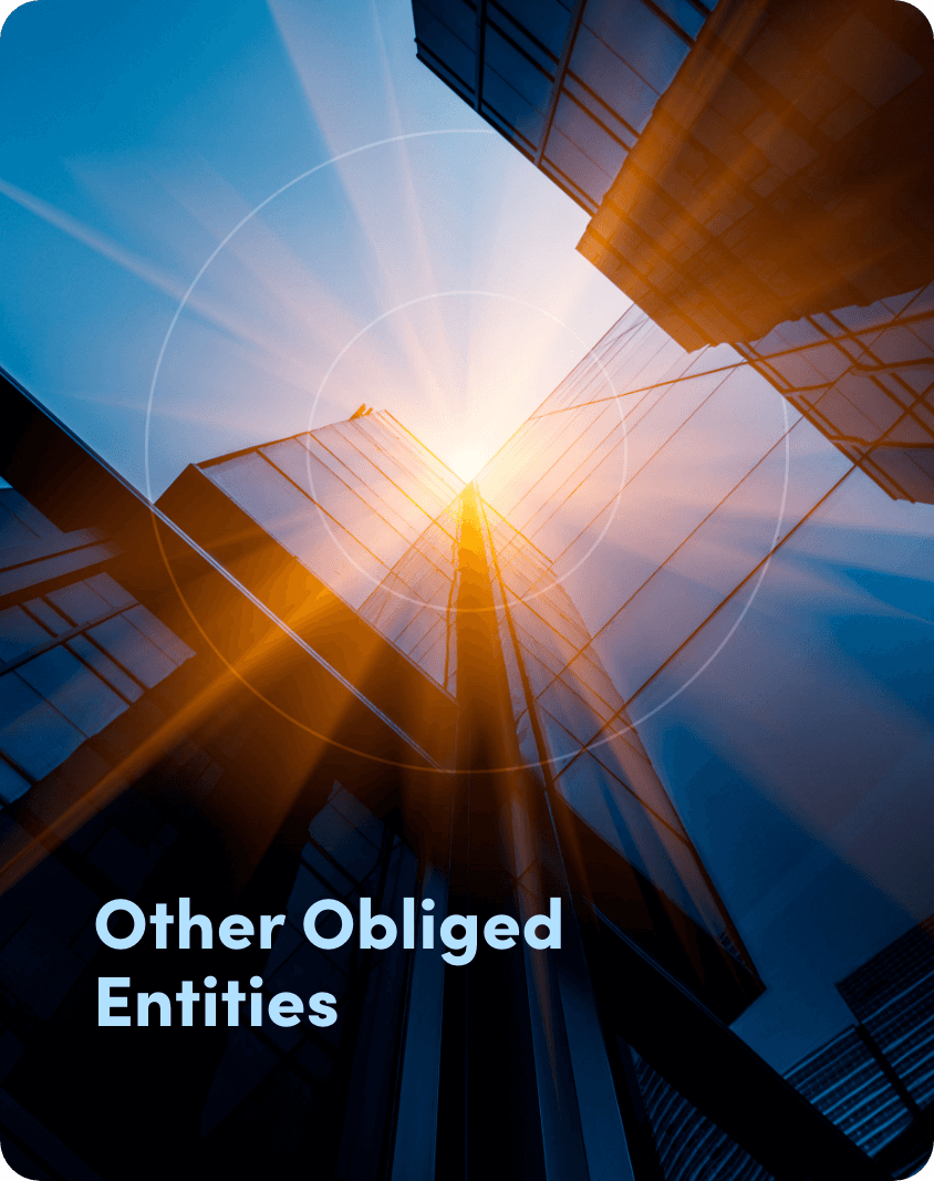 Obliged Entities Beneficial Owner